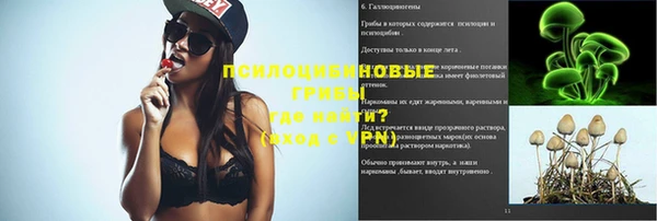 стафф Нягань